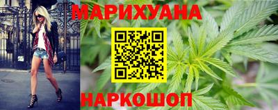 гидра Кудрово