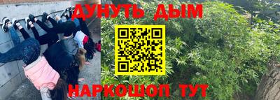 apvp Кузнецк