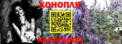 гидра Кудрово